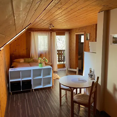 Haus Bergblick アパート *